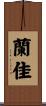 蘭佳 Scroll