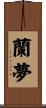 蘭夢 Scroll
