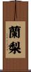 蘭梨 Scroll