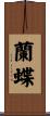 蘭蝶 Scroll
