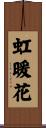 虹暖花 Scroll