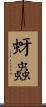 蚜蟲 Scroll