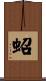蛁 Scroll