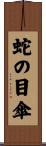 蛇の目傘 Scroll