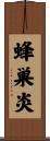 蜂巣炎 Scroll
