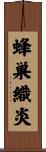 蜂巣織炎 Scroll