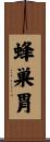 蜂巣胃 Scroll