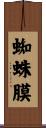 蜘蛛膜 Scroll