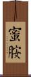蜜胺 Scroll