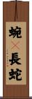 蜿々長蛇 Scroll