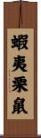 蝦夷栗鼠 Scroll