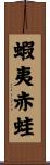蝦夷赤蛙 Scroll