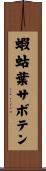 蝦蛄葉サボテン Scroll