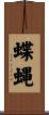 蝶蝿 Scroll