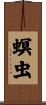 螟虫 Scroll