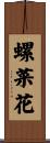 螺菜花 Scroll