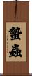 蟄蟲 Scroll