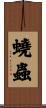 蟯蟲 Scroll