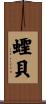 蟶貝 Scroll