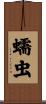 蠕虫 Scroll