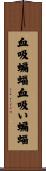 血吸蝙蝠 Scroll