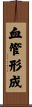 血管形成 Scroll