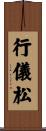 行儀松 Scroll