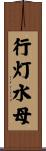 行灯水母 Scroll