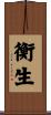 衡生 Scroll