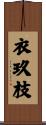 衣玖枝 Scroll