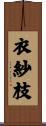 衣紗枝 Scroll