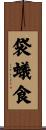 袋蟻食 Scroll
