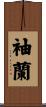 袖蘭 Scroll