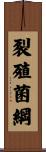 裂殖菌綱 Scroll