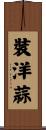 裝洋蒜 Scroll