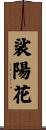 裟陽花 Scroll