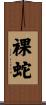 裸蛇 Scroll