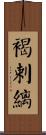 褐剌縭 Scroll