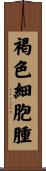 褐色細胞腫 Scroll