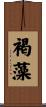 褐藻 Scroll