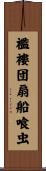 襤褸団扇船喰虫 Scroll