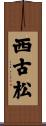 西古松 Scroll