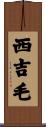 西吉毛 Scroll