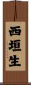 西垣生 Scroll