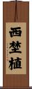 西埜植 Scroll