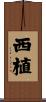 西植 Scroll