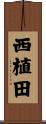 西植田 Scroll