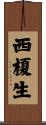 西榎生 Scroll