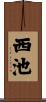 西池 Scroll