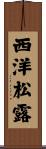 西洋松露 Scroll